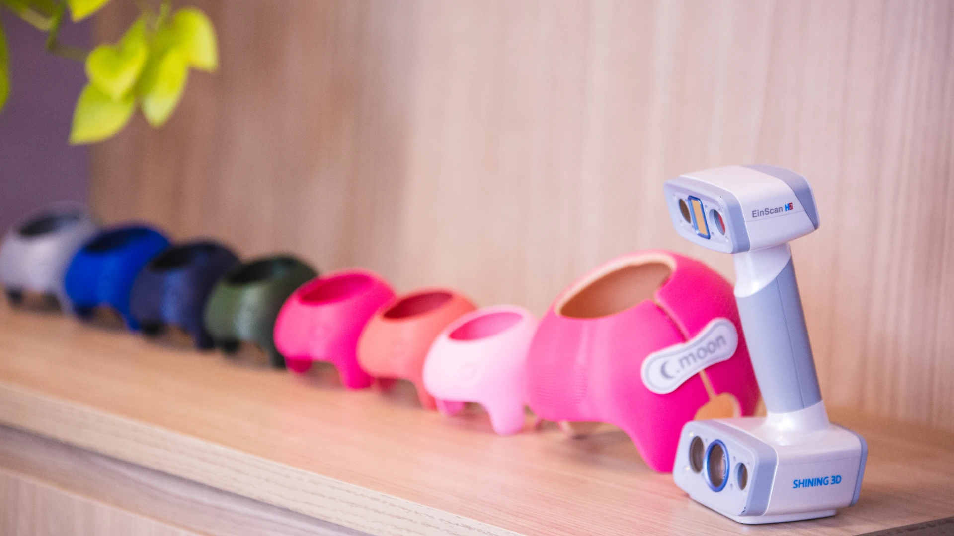 Acompanhamento C-Moon